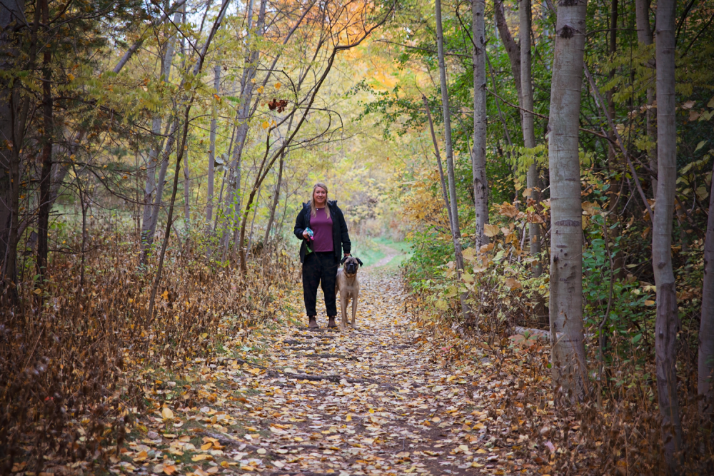 Walking dog in fall Trail